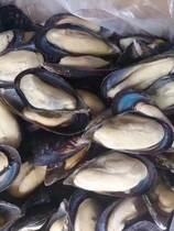 Blue mouth shellfish 8kg pack ice frozen half shell mussels domestic fresh black mouth shell barbecue edible aquatic hot pot ingredients