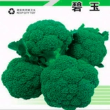 Джаспер Семена брокколи Брокколи Зеленые семена цветной капусты Семена цветной капусты Весна и осень Сезонные овощи Бесплатная доставка