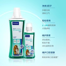 Vic Yikou Clear Pet Kitty Dog Mouthwash Drinking Clean Tooth Water 250ML Except Stench Cleaning Universal 500