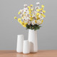 Gypsophila dried flowers ceramic vase fresh hydroponic flower arrangement simple white modern Nordic living room home decoration ornaments