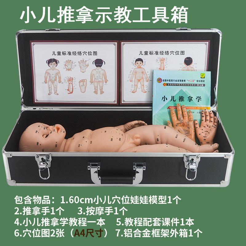 中医小儿推拿按摩示教工具箱儿童推拿学上课穴位娃娃模型及穴位图