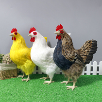 Simulation hen animal model standing hen feather toy doll handicraft chicken ornaments Supermarket decoration props