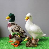 Simulation animal duck goose feather poultry model home creative pastoral decoration Supermarket display shelf decoration