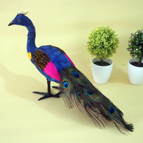 Simulation animal peacock open-screen model Toddler cognitive props Childrens toys Decorations Photography ornaments Crafts