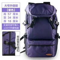 Фиолетовый (большой 55 л)