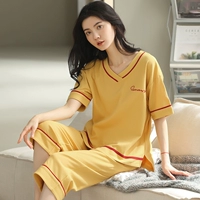 YZT96686