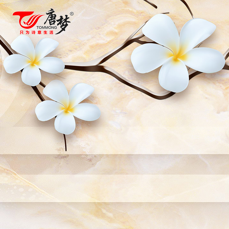 ���δ�ש��ʽ�ִ���Լ΢��ʯ��ש