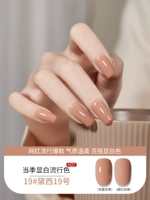 Meiyue 88 Color 19# Daisy № 19