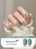 Meiyue 88 Color 55# ледоловый монетный двор