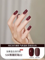 Meiyue 88 Color 53# Caramel Milk Coffee 22