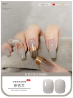 Куркума 【голый серый】