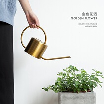 Nordic style Brass color watering can Watering pot flowers flower gardening tools Furniture long-distance running kettle ornaments