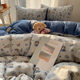 A Four-Piece Bed Set with Double-Layer Gauze Duvet Cover for Single Bed, 2026 New Model Duvet Cover, Bed Sheet, Duvet Cover, Dormitory Three-Piece Set 4