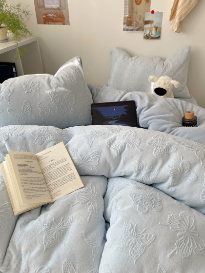 Class a Bed Milk Velvet Four-Piece Set Coral Bed Sheet Fleece Duvet Cover Winter Plush Flannel Dormitory Three-Piece Set 4
