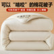 Xinjiang Cotton Quilt, Spring, Autumn, and Winter Quilt, Winter Cotton Quilt Core, Pure Cotton, Thickened for Winter, Single Student Dormitory