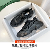 20T176M черный