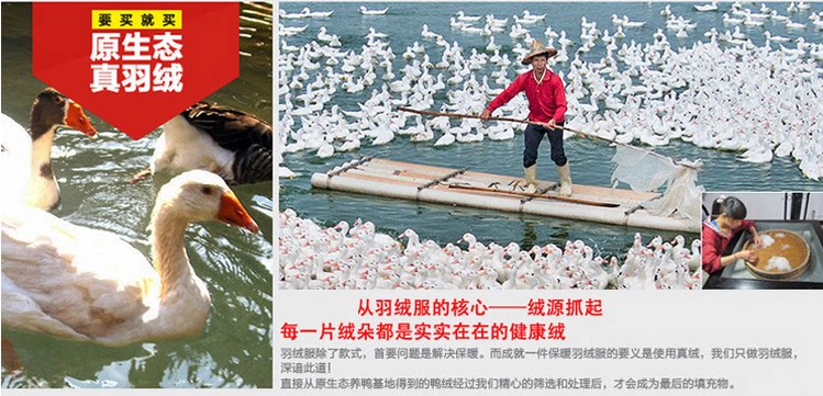 Blouson pour garcon en polyester - Ref 2160444 Image 17