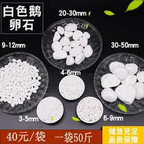  White small stone gardening dry landscape White stone courtyard paving Garden landscape Interior decoration goose egg white gravel
