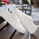 Ivory White 8067