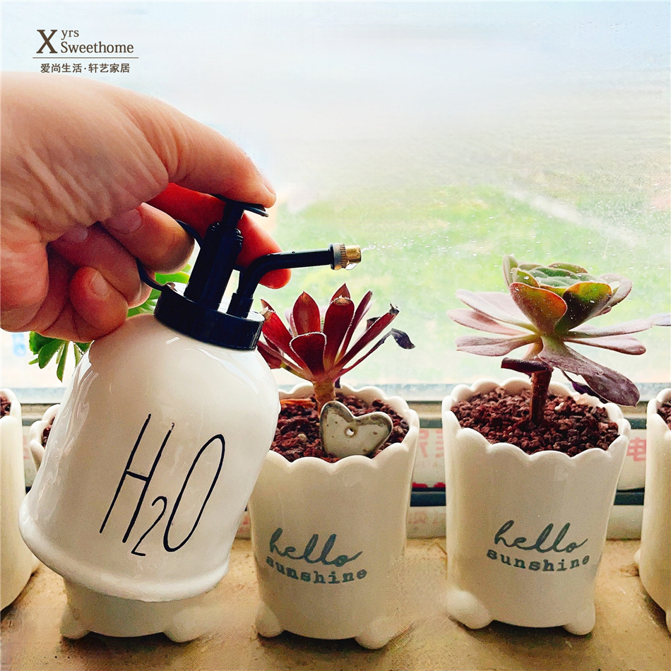 Knock Cute Outlet American Red Card Hand Pinch Irregular Styling Small Spray Pot Shower Small Kettle Personality Pot-Taobao