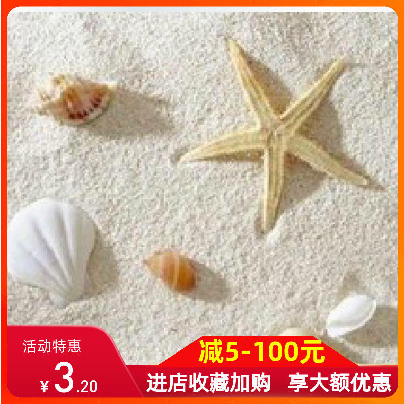 Philippine sandfish tank landscaping sand Coral sand Sea sandfish tank bottom sand Shell sand bottom sand White sand water grass bottom sediment