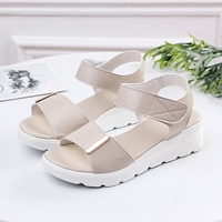 Бежевый, 818м