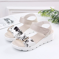 818 черный цветок