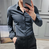 Rich and bird spring-autumn lining mens light and luxurious striped anti-wrinkle work-up business positive dress men casual long sleeves free of hot shirts
