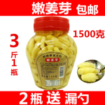 Tender ginger buds fresh and sweet taste bottled with ginger teeth soaked ginger bud ginger bud ginger Tongxiang specialty pickles