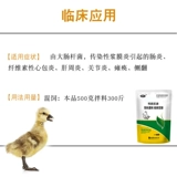 Гусиная утка, твикит, специальные лекарства, бактерии E. coli Bao Heart Bao Heart Мягкая нога Парализованная желтая белая тунга Пневматическая кан Утка Мирин Флоза