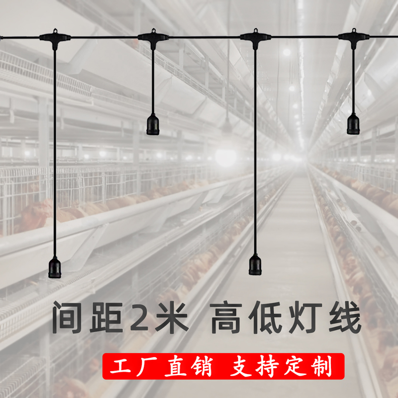 Chicken Coop Light Wire, Special Lighting Wire for Farms, One Wire with Multiple Light Heads, Hanging at Different Heights, Light Wire for Breeding, Light String Chicken Coop Light Wire, Special Lighting Wire for Farms, One Wire with Multiple Light Heads, Hanging at Different Heights, Light Wire for Breeding, Light String