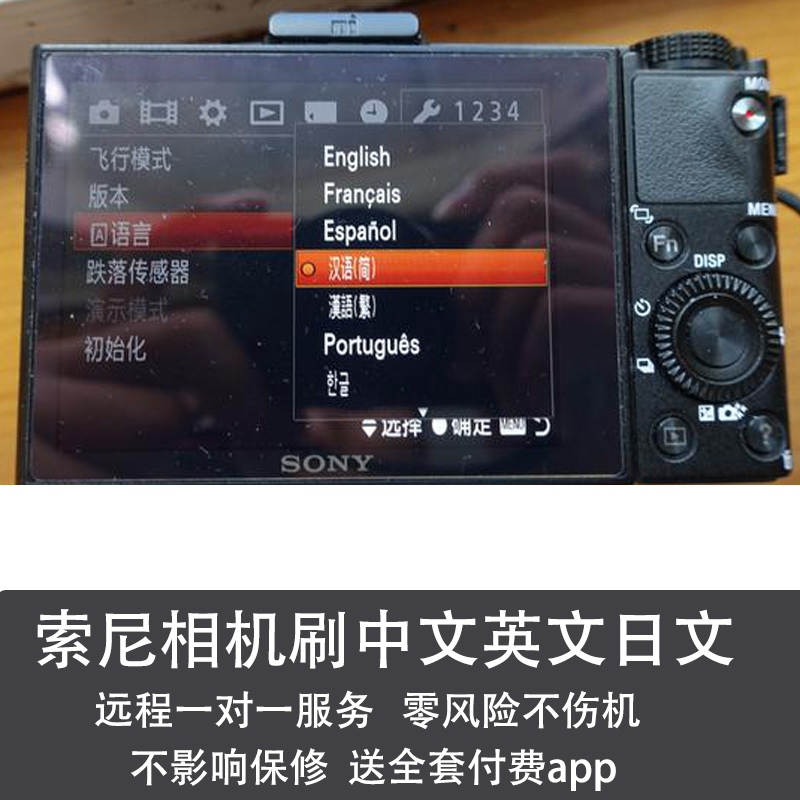 Suitable for Sony Camera Firmware Flashing in Chinese and English, Menu and Language Firmware Flashing A7Rm3C2/Black Card/Zve10/A6000