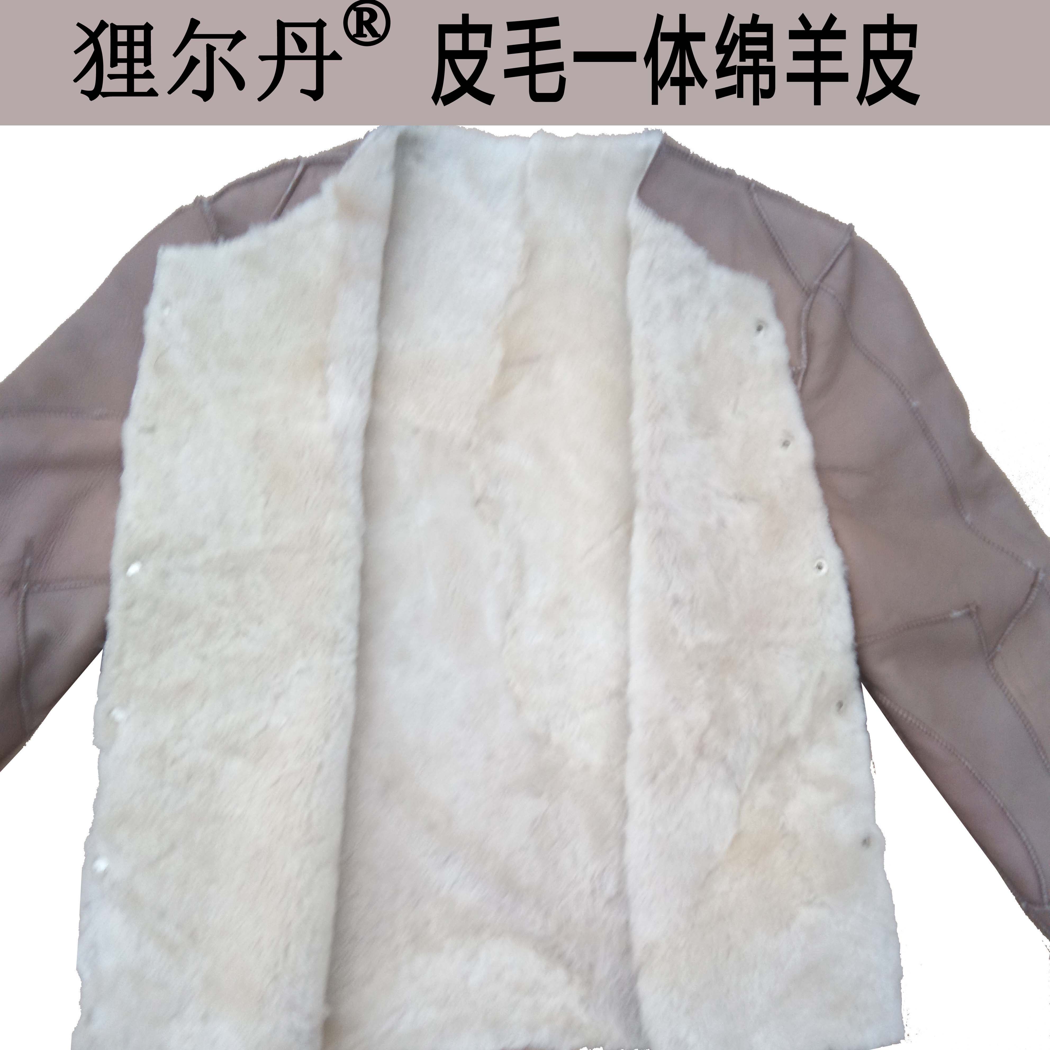 Blouson hiver pour homme en Laine - Ref 3112608 Image 1