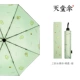 2#Pink Green-Mianrou