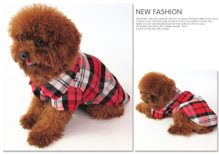 Quần áo cho chó Quần áo Teddy Gấu Pomeranian Chó con chó nhỏ Chó và mèo mèo mèo quần áo mèo mùa xuân và quần áo mùa thu - Quần áo & phụ kiện thú cưng áo khoác cho chó