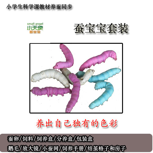 Luxury science silkworm suit silkworm eggs feed feeding tools complete colorful silkworm knot silk cocoon