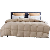 Mercury Home Textiles Goose Down Quilt 95% White Goose Down Antibacterial Winter Quilt Warm Quilt Core Home Single and Double Bedding