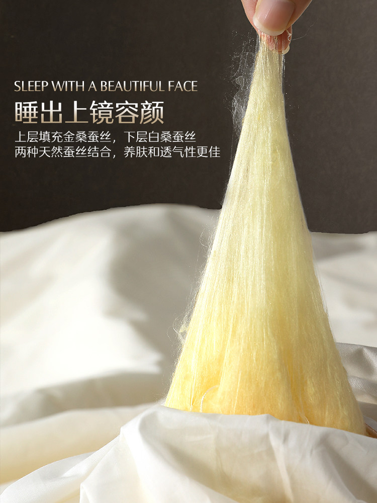 Mercury Home Textiles Golden Mulberry Silk Winter Quilt Class a Antibacterial Warm Quilt Pure Cotton Silk Quilt Core Autumn and Winter Light Luxury Gift