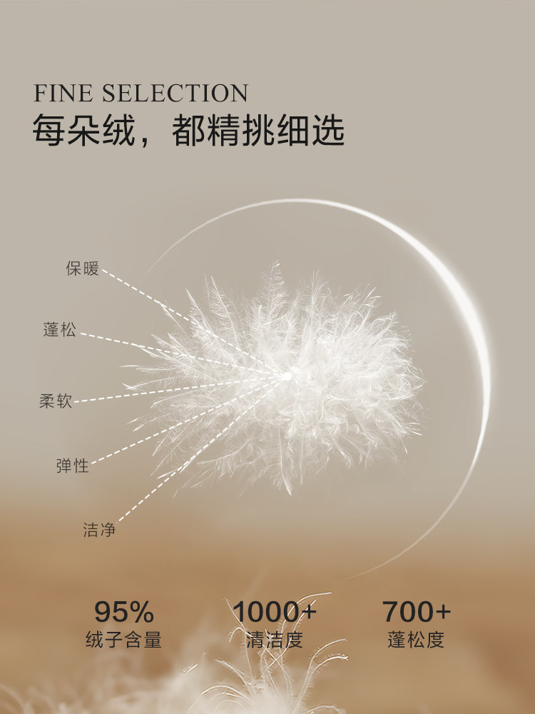 Mercury Home Textiles 95% White Goose down Winter Quilt, Class a Antibacterial and Warm down Quilt, High-End Quilt Core, New Year Gift