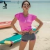 Đồ bơi ba mảnh 2018 mới chia tay áo tắm nữ 18080 - Bộ đồ bơi hai mảnh 	đồ bơi 2 mảnh quần Bộ đồ bơi hai mảnh