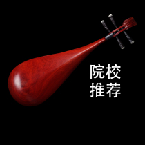 Zhengyentang Pipa Musical Instrument Test Professional Performance Mahogany Backboard Clear Water Paint Lancao Tong Wood Panel Pipa