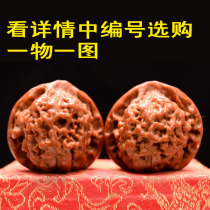 Machine brush walnut 49-51 text play walnut handle hand play hemp walnut lion head official hat wrap pulp