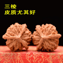 Three-edged Daben lion head official hat 35-42 fine text play walnut handle play hemp walnut four-edged shaped