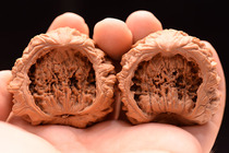 Polypo Basin Lion Head Official Hat to play walnut Alien Collection Class 46 boutique Boutique Running to Play Hemp Numb