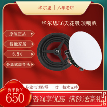 Walls L6 home background music system ceiling speaker audio embedded separate tweeter speaker