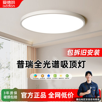 Edland Purui Full-Spectrum Eye-Protecting Ceiling Lamp Modern Simple Ultra-Thin Anti-Blue Light Children's Room Study Bedroom Lamp