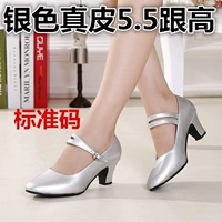 Серебряная кожа 5,5 и высокая