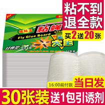 Fly Stickler Powerful Sticky Fly Cardboard Home 30 Extinction Fly drug fly Sticky Stained Fly Thever Mucus Stickler Stickler