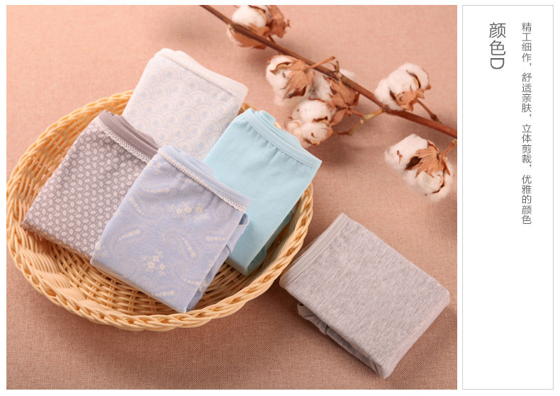 Slip jeunesse N686X2561 en coton - Ref 669211 Image 23