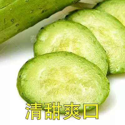 春秋播旱黄瓜秋黄瓜种籽苗油亮型大胡瓜四季春季春夏农家蔬菜种子